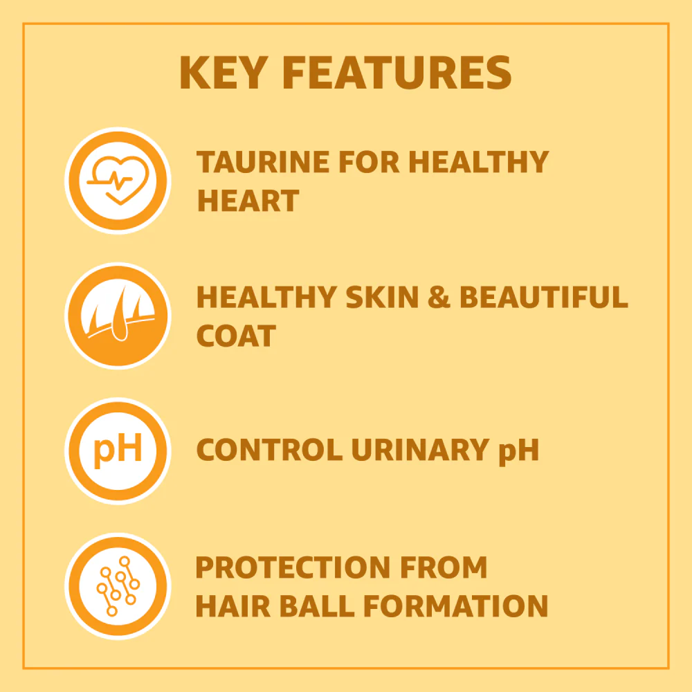 Purepet Real Chicken Adult Dry Cat Food - Shopern