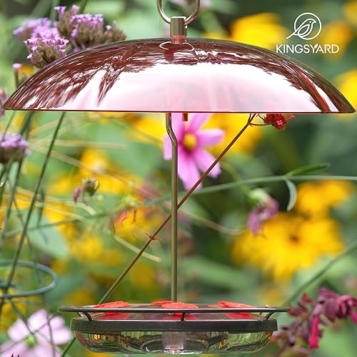Kingsyard Weatherproof Hummingbird Feeder for Outdoors Hanging - Heavy Duty Metal Lid with 6 Bee Guard Feeding Ports & Circular Perch, Built-in Ant Moat, Easy to Refill & Clean (12oz/Red) - Shopern