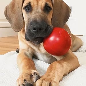 Juguete para perros, juguete para perros pequeños, juguete para masticadores agresivos, perro, juguete para togs, juguete flotante para perros
