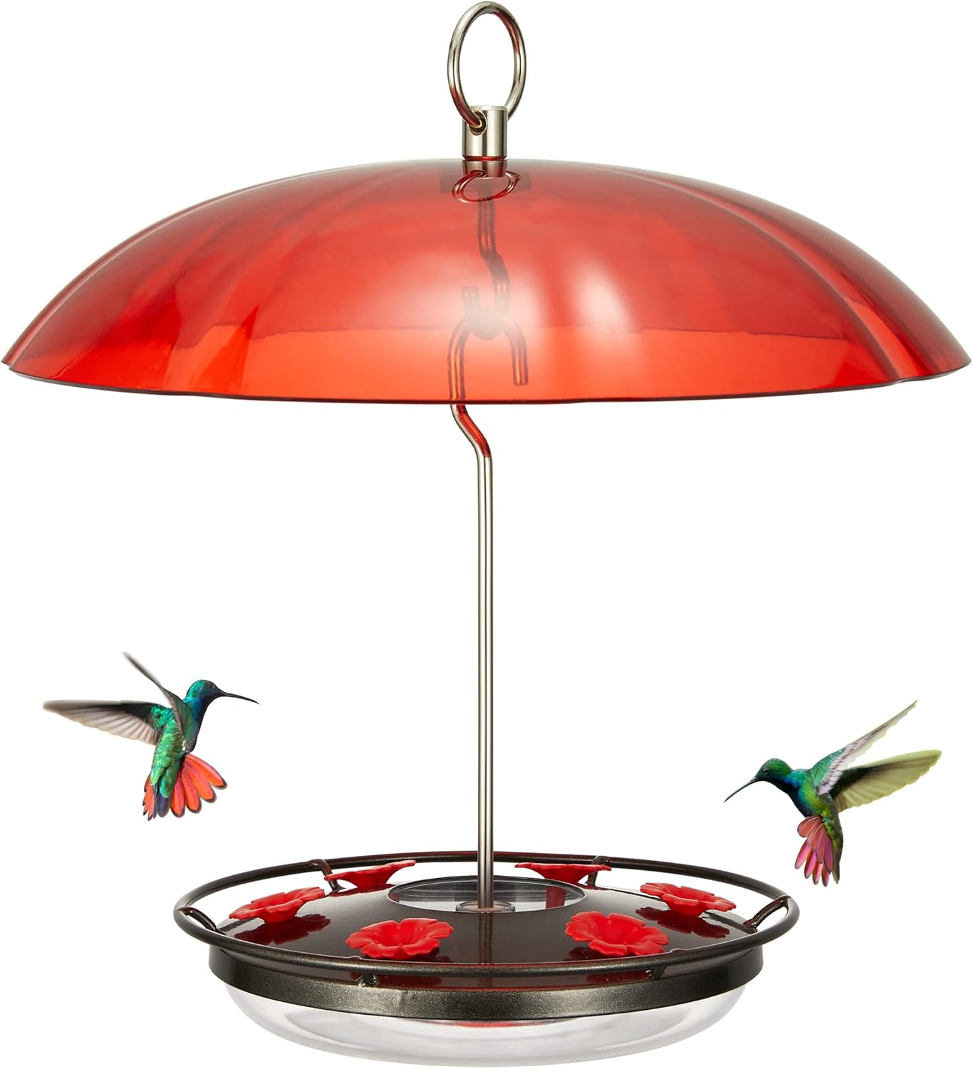 Kingsyard Weatherproof Hummingbird Feeder for Outdoors Hanging - Heavy Duty Metal Lid with 6 Bee Guard Feeding Ports & Circular Perch, Built-in Ant Moat, Easy to Refill & Clean (12oz/Red) - Shopern