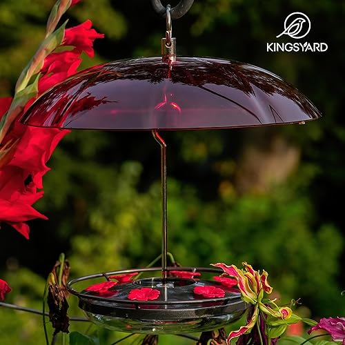 Kingsyard Weatherproof Hummingbird Feeder for Outdoors Hanging - Heavy Duty Metal Lid with 6 Bee Guard Feeding Ports & Circular Perch, Built-in Ant Moat, Easy to Refill & Clean (12oz/Red) - Shopern