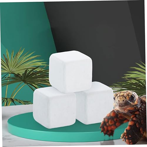 Bloque de 10 Piezas para Lagarto Gecko Salud Minerales sin Agua - Shopern