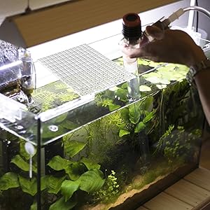 Cubierta protectora para acuario