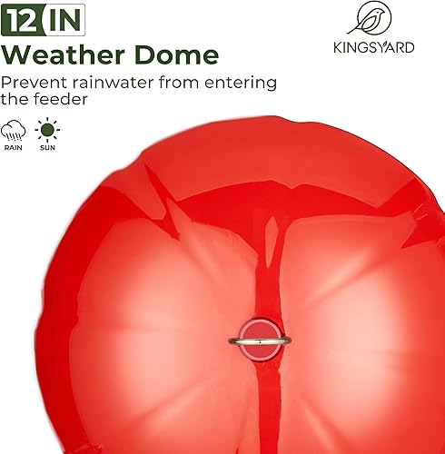 Kingsyard Weatherproof Hummingbird Feeder for Outdoors Hanging - Heavy Duty Metal Lid with 6 Bee Guard Feeding Ports & Circular Perch, Built-in Ant Moat, Easy to Refill & Clean (12oz/Red) - Shopern