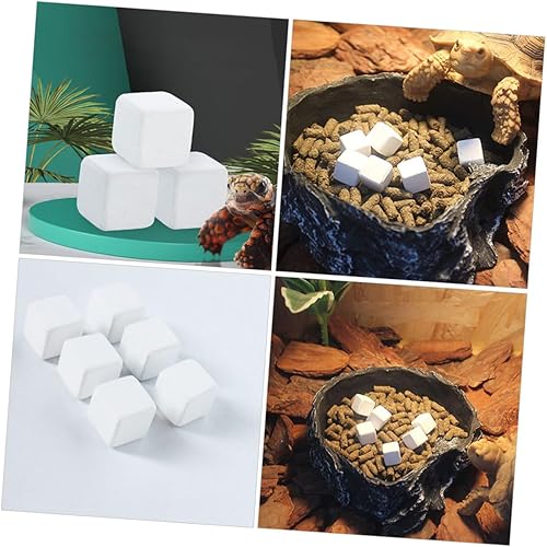BUGUUYO 18 Piezas Dientes De Tortuga Calcio para Bola De Turmalina Calcio De Tortuga Calcio para Caracoles Alimento Suplementario para Peceras Banquete Agua Dulce Mascota - Shopern