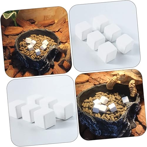 Bloque de 10 Piezas para Lagarto Gecko Salud Minerales sin Agua - Shopern