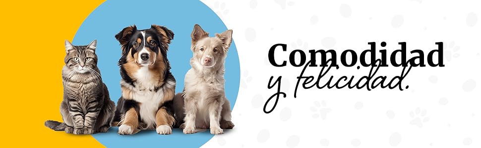 banner style