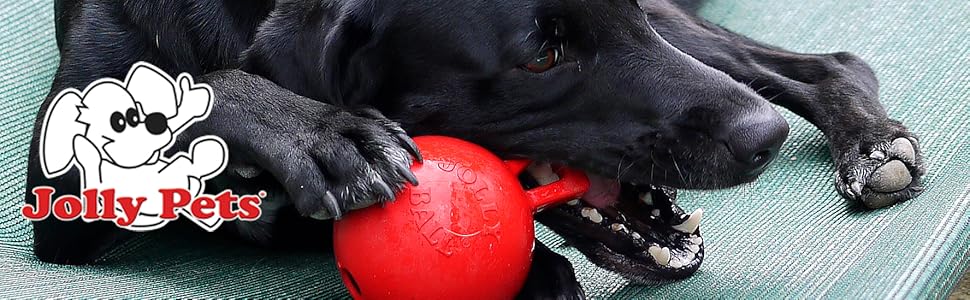 Juguete para perros, juguete para perros pequeños, juguete para masticadores agresivos, perro, juguete para togs, juguete flotante para perros
