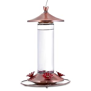 Comedero de colibrí