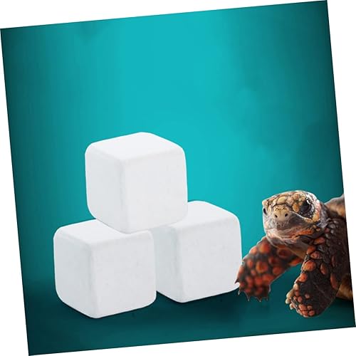 Bloque de 10 Piezas para Lagarto Gecko Salud Minerales sin Agua - Shopern