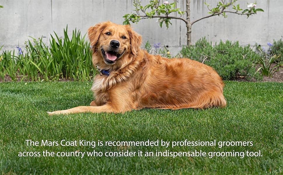 Marte Coat King