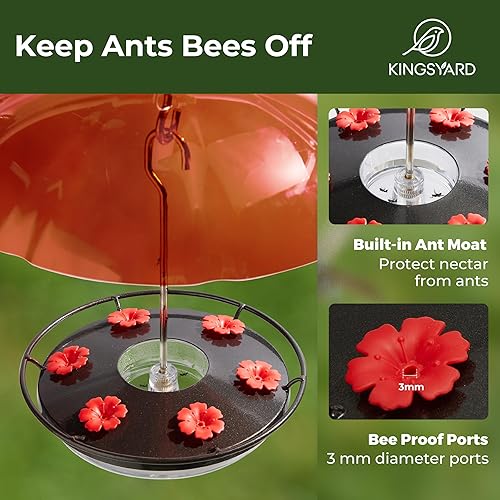 Kingsyard Weatherproof Hummingbird Feeder for Outdoors Hanging - Heavy Duty Metal Lid with 6 Bee Guard Feeding Ports & Circular Perch, Built-in Ant Moat, Easy to Refill & Clean (12oz/Red) - Shopern