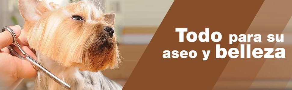 Mascotas, perro, gato, canario, jaula, comida para perro, comida para gato, animales
