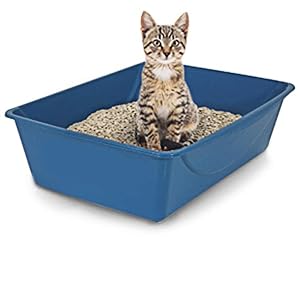 Petmate - Caja de arena abierta para gatos (4 tamaños), color azul