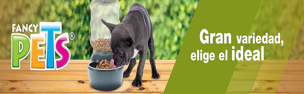 Mascotas, perro, gato, canario, jaula, comida para perro, comida para gato, animales
