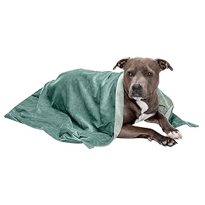 Manta de terciopelo para perro, color verde celadón