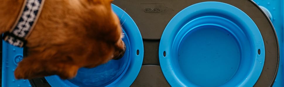 Alimento para perros, comedero, plato para perros, plato para gatos, cuenco para perro, caravana, camping con perro, viaje de perro