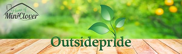 Outsidepride Seed Store Easy Wave Spreading Petunia South Beach Mix