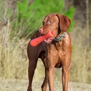 Comedero para perros, plato para perros, cuencos para perros, comedero alto para perros