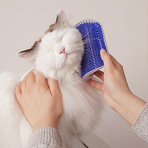 cepillo para polvo para el cabello