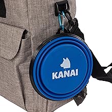 cesta con cosas perrito debe tener mamá mujeres accesorios de equipaje para perros perro bolsa de viaje mascotas