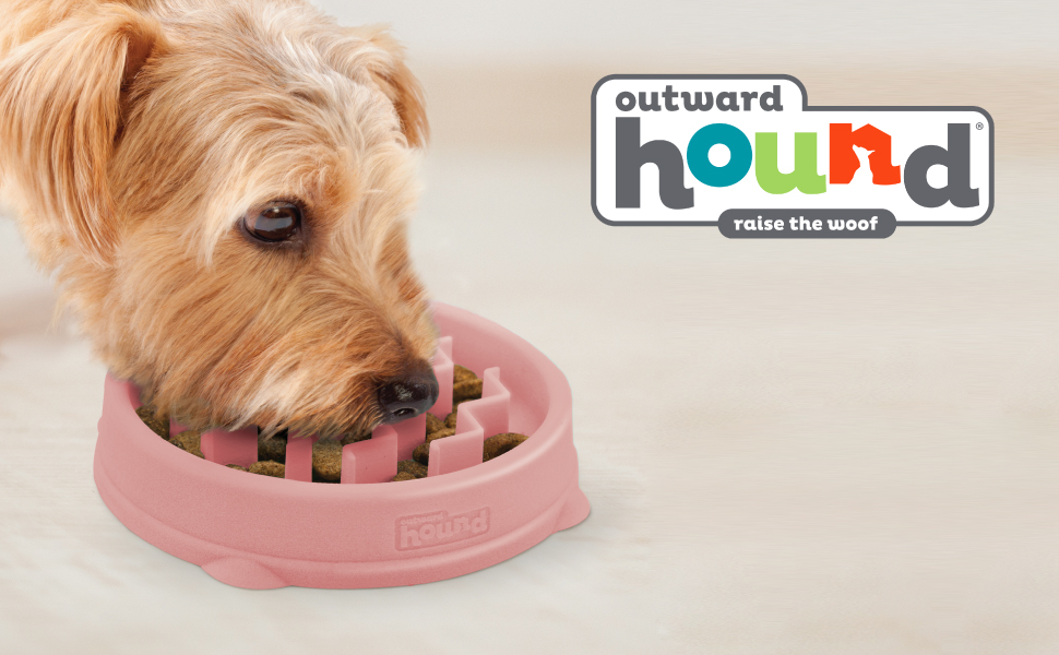 Un perro olfata y busca comida en su cuenco Outward Hound Fun Feeder Slo.