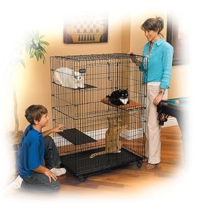 Parque infantil para gatos.