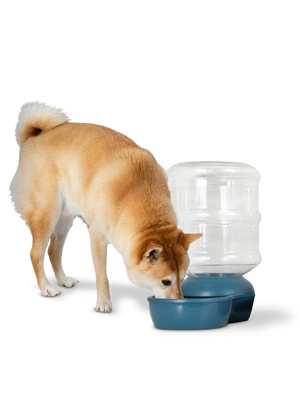 Dispensador de agua para perros, recipiente de agua para perros, dispensador de agua para mascotas, dispensador de agua para perros