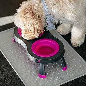 perro, comedero, alimentador para gatos, alimentador elevado, alimentador lento, comida para perros, comida para gatos, RV, viajes 